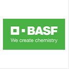 thumbnail for BASF Presentation